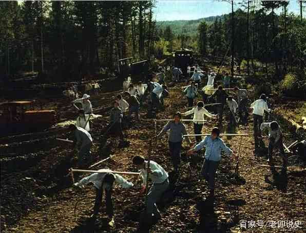 广阔天地，大有可为——记录当年知青下乡生活的珍贵彩色老照片