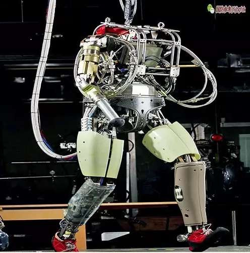 徐立: 颠覆性生物技术的制胜机理与发展预判