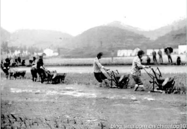 杜润生死了——看他们如何搞垮中国农村集体经济