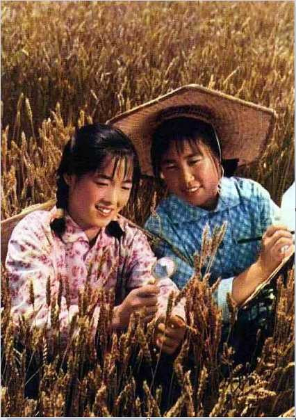 老照片中的记忆：1973年的山东昌潍地区（今潍坊地区）临朐县