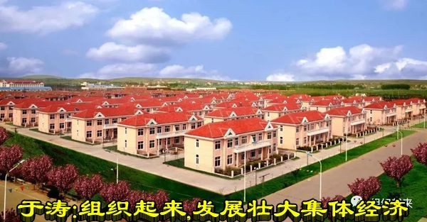 于涛：组织起来，发展壮大集体经济