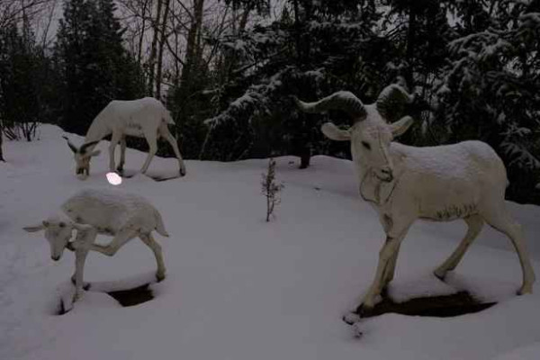 大寨----向全世界发出邀请