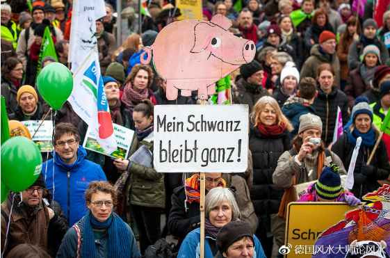 为人类，为孩子，为未来，德国爆发大规模反转基因反孟山都示威游行！