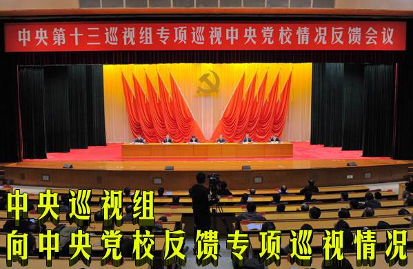 中央巡视组向中央党校反馈专项巡视情况