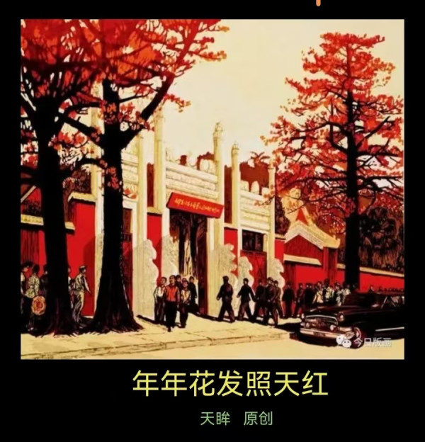天眸：年年花发照天红