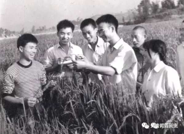 孙成民：不忘知青出发的缘由，不忘知青创下的业绩！