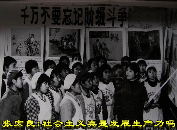 张宏良：社会主义真是发展生产力吗