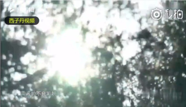 刘青山后人回忆往事