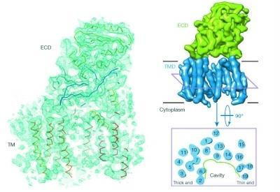 施一公：连我最好的学生也想去金融公司 大学的导向出了问题