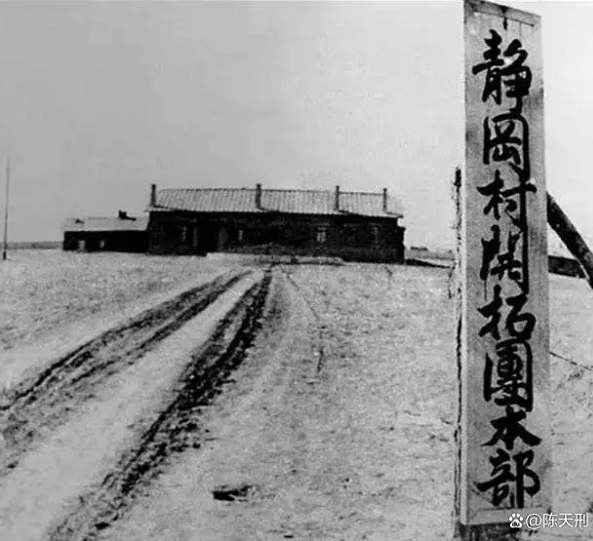 从历史上的日本开拓团和集中营政策，说说巴勒斯坦人为何活不下去