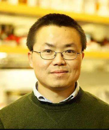 张宏良：中华民族已经再次到了最危险的时候