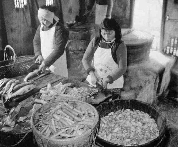 新中国工业革命与世界工业化回眸（五）