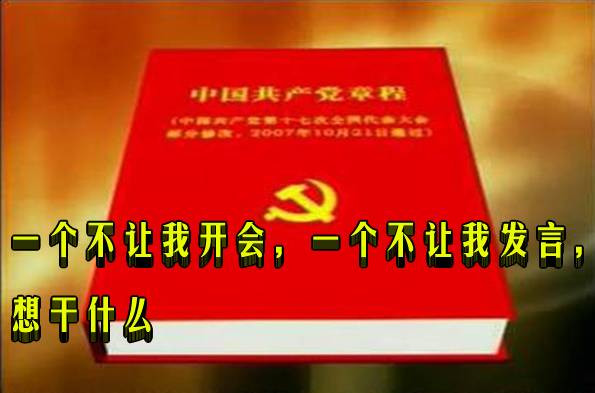 一个不让我开会，一个不让我发言，想干什么