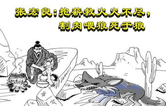 张宏良：抱薪救火火不尽，割肉喂狼死于狼