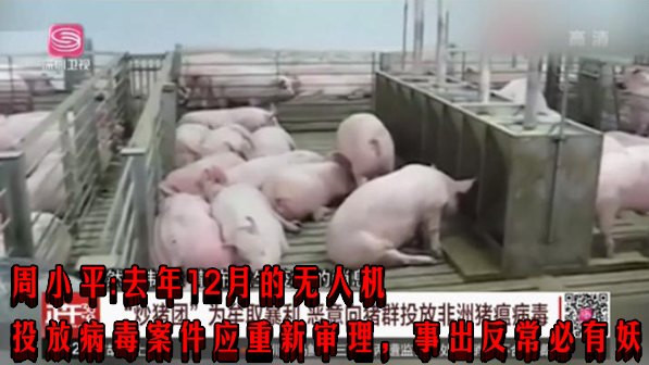 周小平：去年12月的无人机投放病毒案件应重新审理，事出反常必有妖