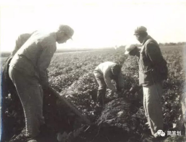 《张钦礼传》三十一 | ​他们吃住在黄河里的大船上，给荒地种上了1万亩春麦