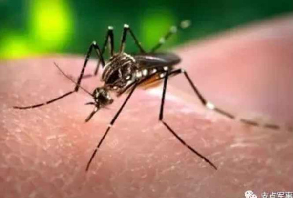 比731更邪恶，美国正秘密研制灭绝中俄的生物武器