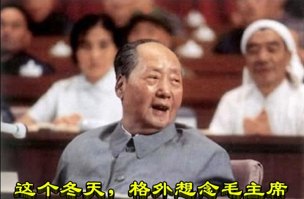 这个冬天，格外想念毛主席