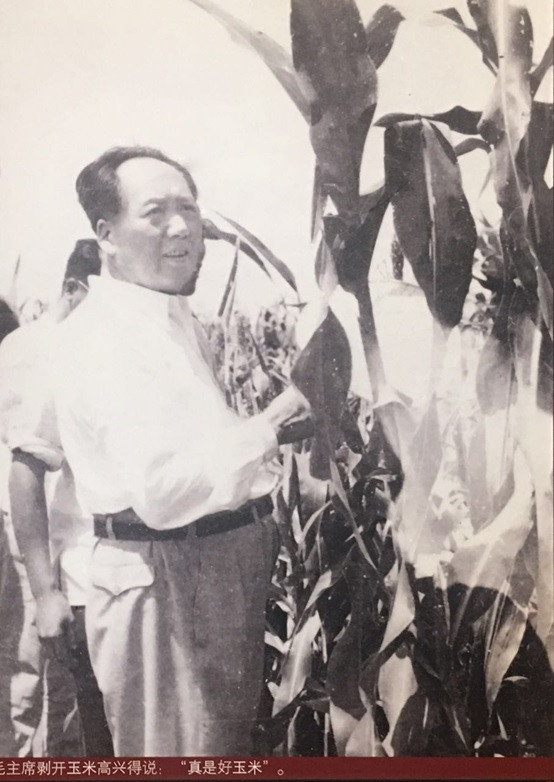 八五遗愿——纪念毛主席视察安国63周年