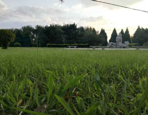 大寨----向全世界发出邀请