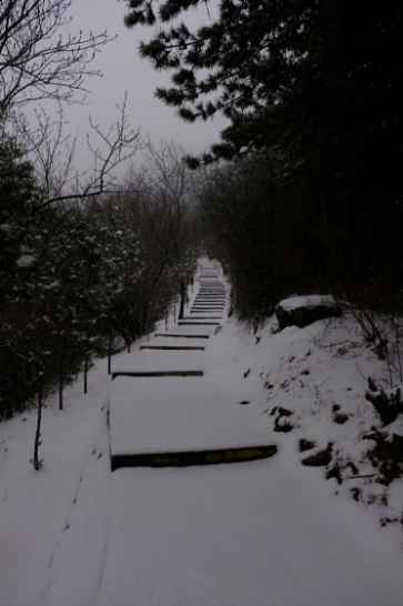 大寨----向全世界发出邀请