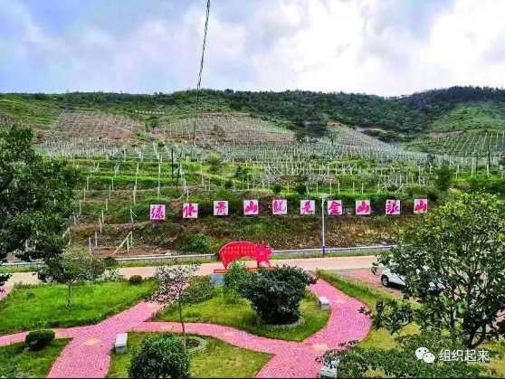 于涛：组织起来，发展壮大集体经济