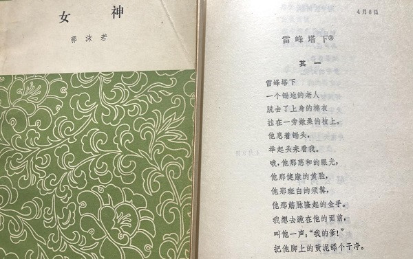 胡澄：致敬“司马南式”的苦难