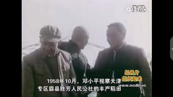 纪录片：组织起来