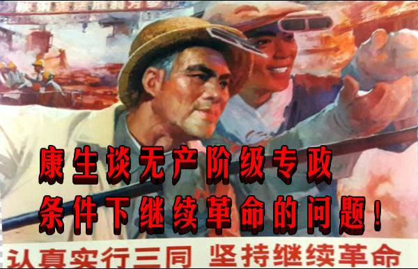 康生谈无产阶级专政条件下继续革命的问题！