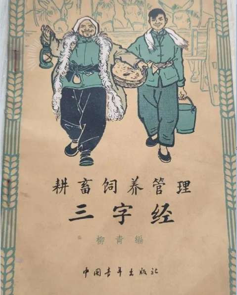 杨辉丨“未竟”的创造：《创业史》与当代文学中的“风景政治