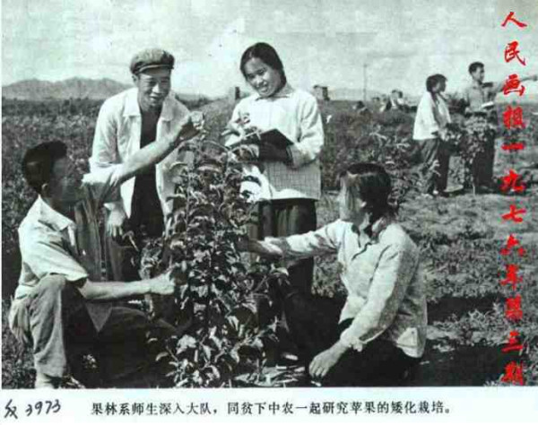 中华民族的子孙应当知道的关于毛主席的十四个谬论