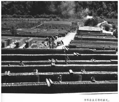 老田：牛棚和五七干校，到底长啥样？