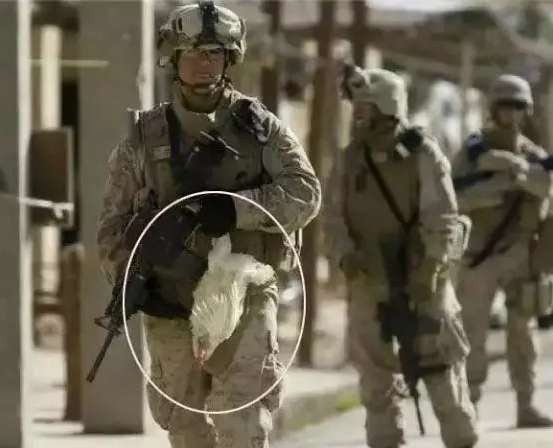 看美国到底是如何掠夺世界