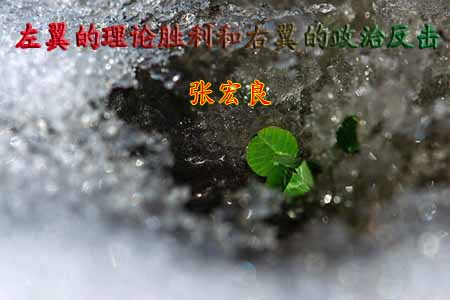 张宏良： 左翼的理论胜利和右翼的政治反击