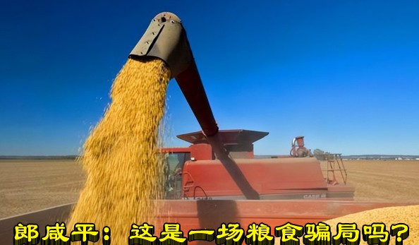 郎咸平：这是一场粮食骗局吗？