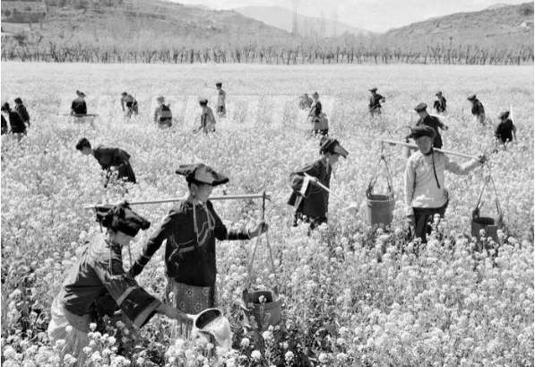 毛泽东时代的大凉山“扶贫”