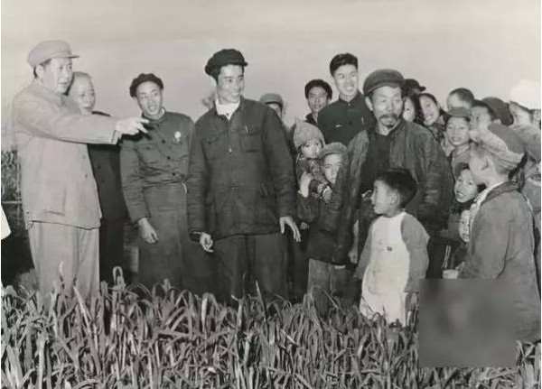 高虹：毛主席来到咱农庄