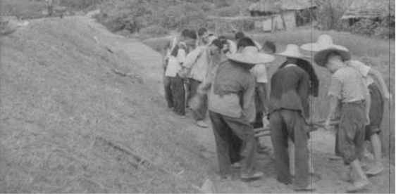 抗美援越罕见旧照曝光:美军给解放军下跪投降