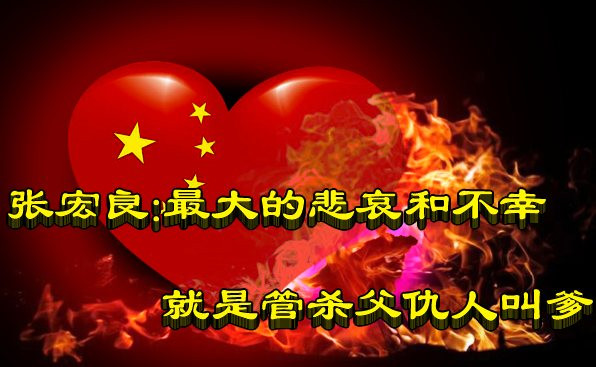张宏良：最大的悲哀和不幸就是管杀父仇人叫爹