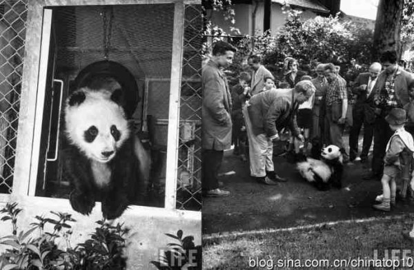 新中国工业革命与世界工业化回眸 （三）