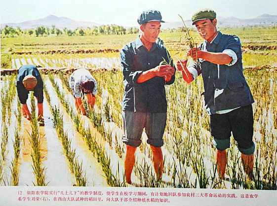 学校应当成为无产阶级专政的工具——记朝阳农学院1975.10