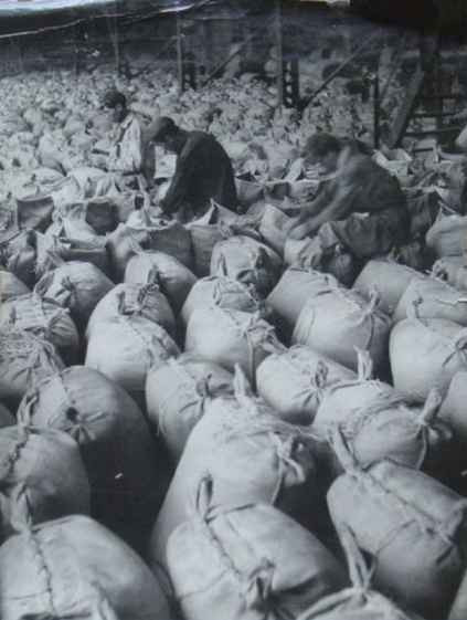 毛泽东社会主义光明道路——农业合作化运动