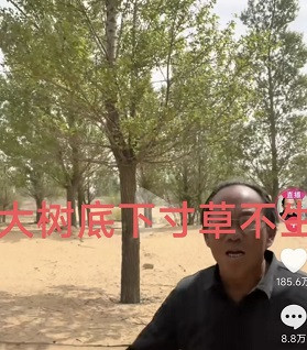 申鹏：治沙的愚公，还是逐利的商人？