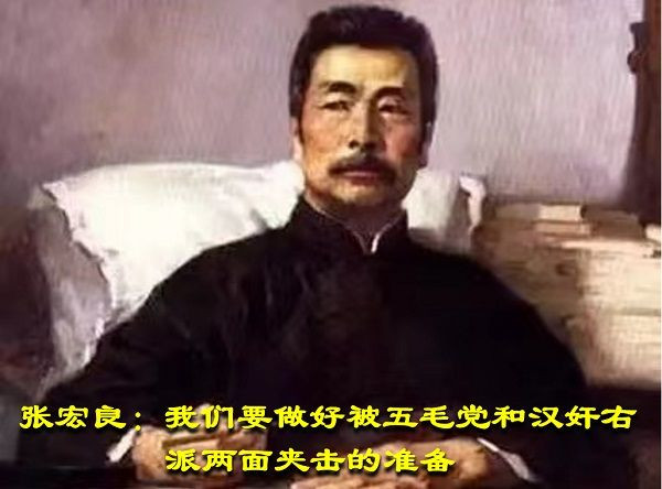 张宏良：我们要做好被五毛党和汉奸右派两面夹击的准备