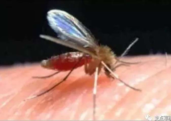 比731更邪恶，美国正秘密研制灭绝中俄的生物武器