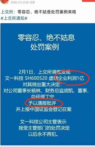 张宏良：上市公司财务造假在中美两国的不同命运才是中国股市的根本弊端