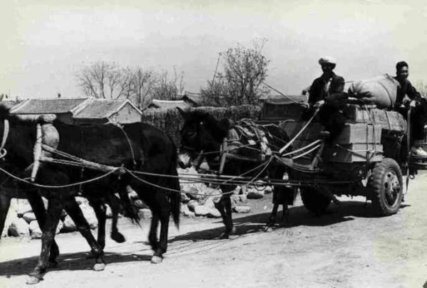 新中国工业革命与世界工业化回眸（十）