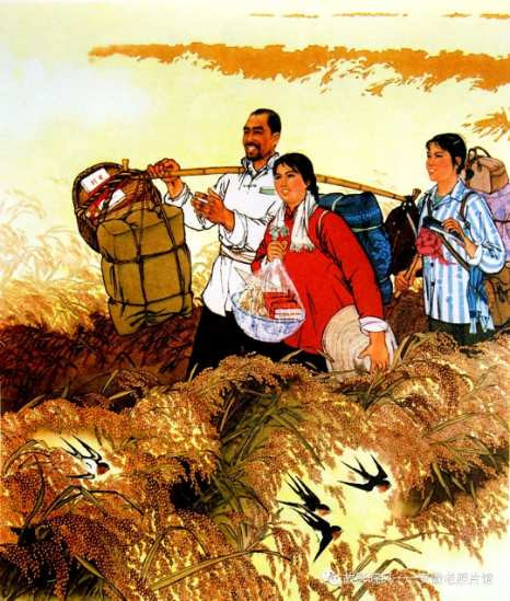 独家影像:安徽70年代的知青岁月