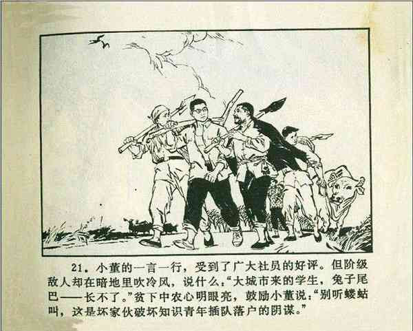《广阔的天地》——“知识青年到农村去”