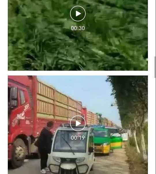 蒋高明 :青储小麦的经济账并不合算，其真实目的有待深挖